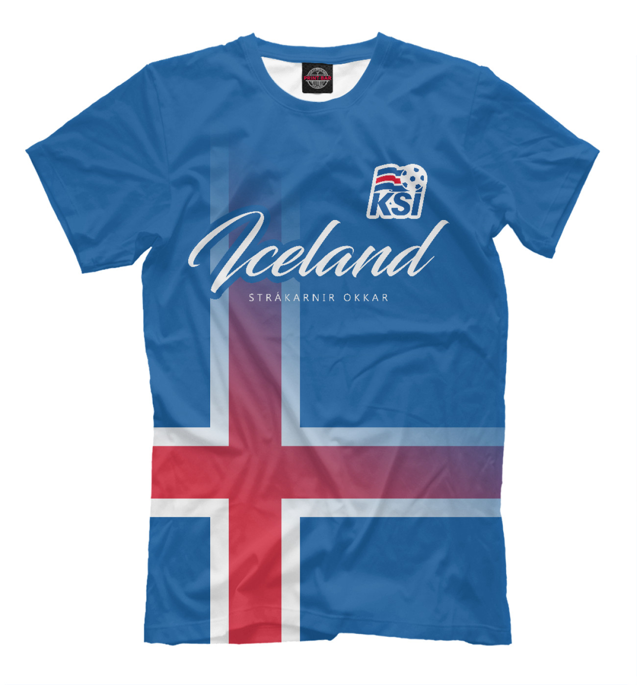 Мужская Футболка Исландия, артикул: FNS-112295-fut-2