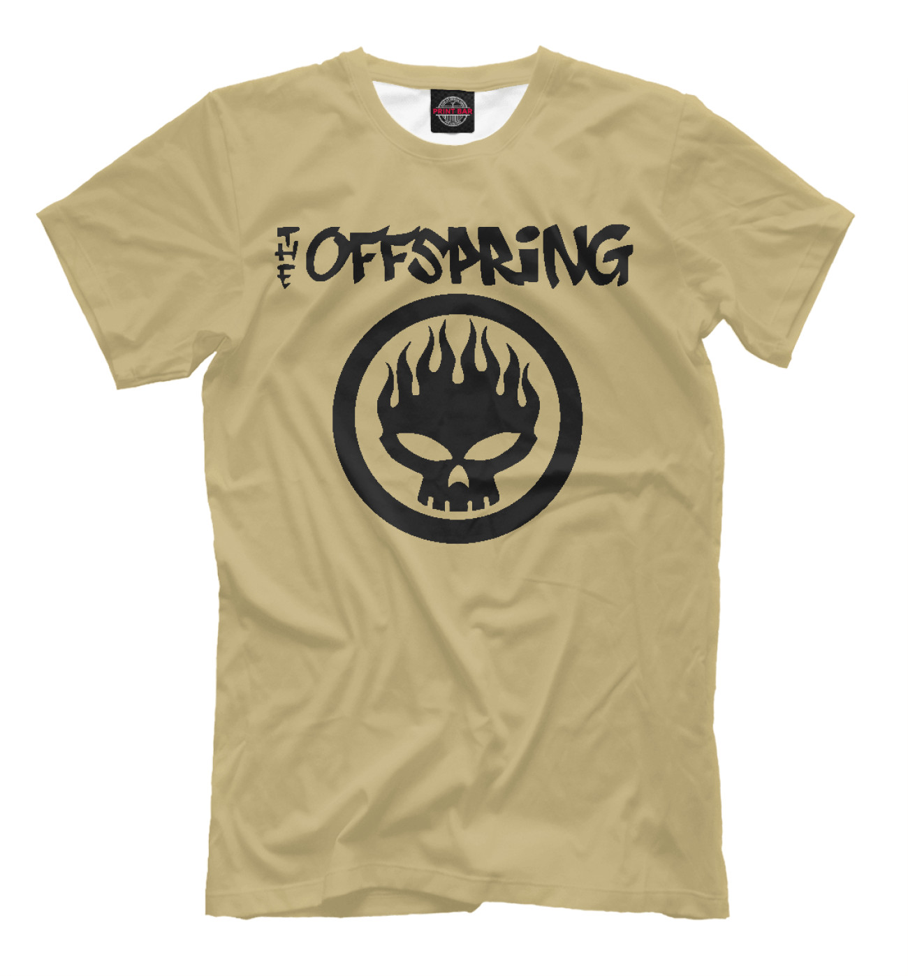 Мужская Футболка The Offspring, артикул: OFS-383038-fut-2