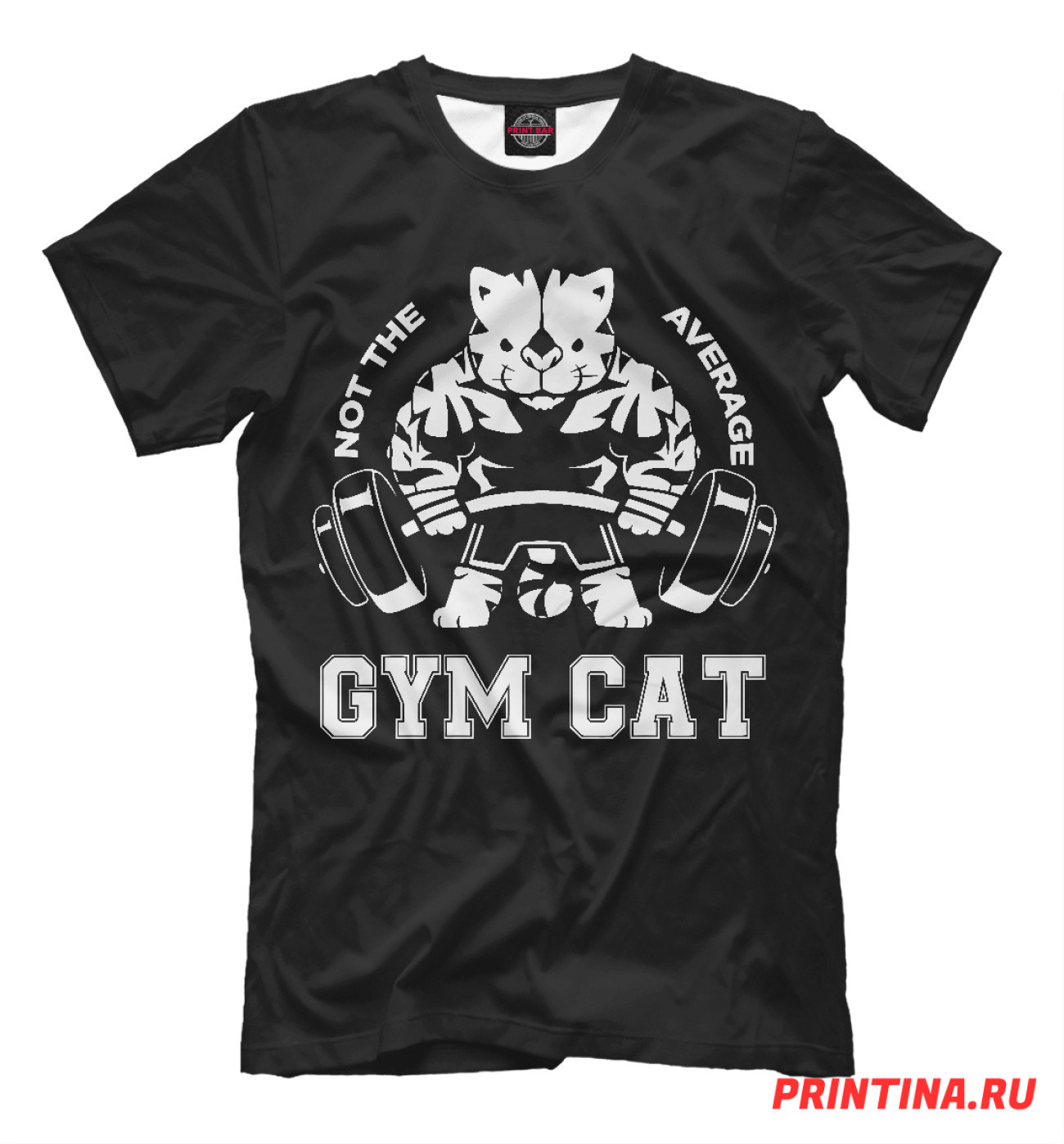 Мужская Футболка Gym Cat, артикул: FIT-324721-fut-2