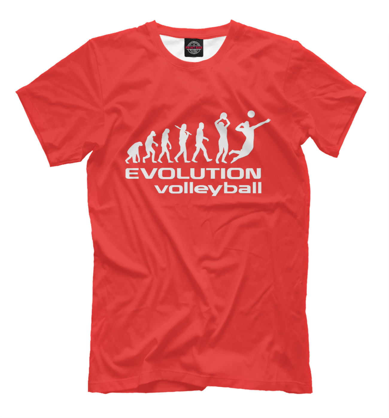 Мужская Футболка Evolution (volleyball), артикул: VLB-532402-fut-2