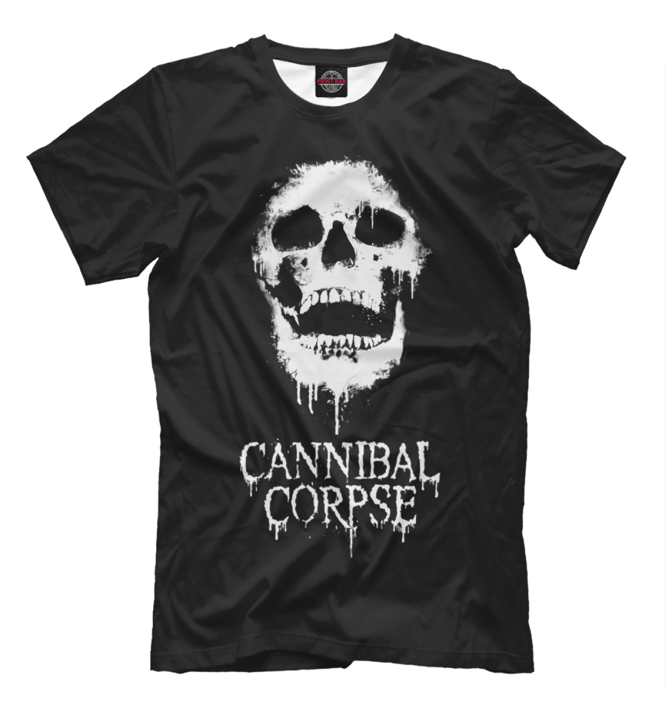 Мужская Футболка Cannibal Corpse, артикул: CCR-327028-fut-2