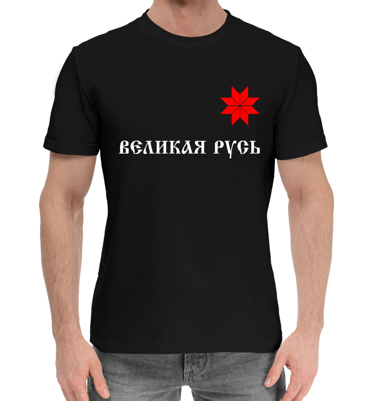Мужская Хлопковая футболка Великая Русь - Алатырь, артикул: SSM-249646-hfu-2