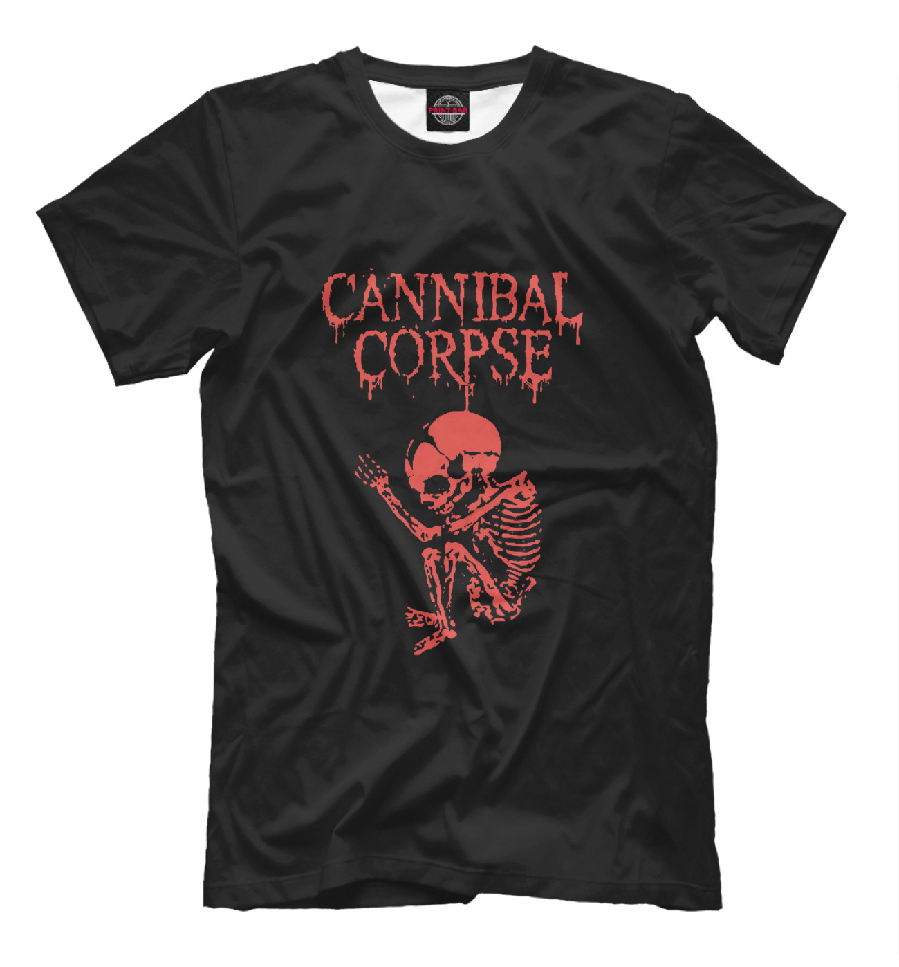 Мужская Футболка Cannibal Corpse, артикул: CCR-552556-fut-2